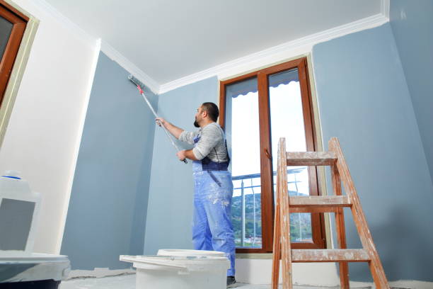 Best Drywall Crack Repair  in Burbank, IL