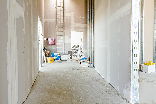 Best Drywall Texturing  in Burbank, IL