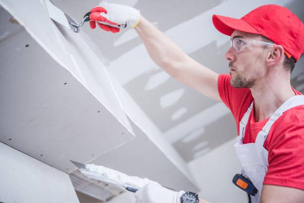 Best Drywall Installation  in Burbank, IL